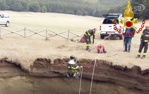 Spettacolare salvataggio, i caschi rossi salvano una poiana 