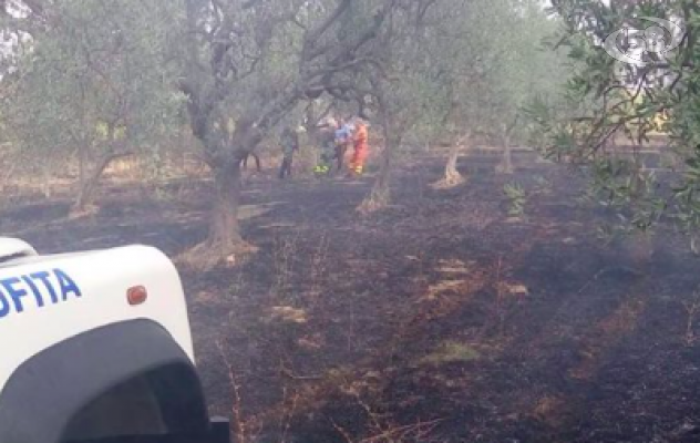 Ariano, fiamme in località Creta: c'è un morto