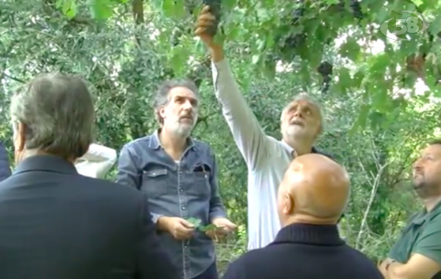 Ariano, team di esperti visita due storiche vigne di Aglianico  / VIDEO