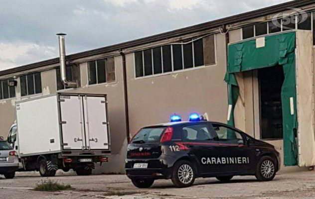 Mirabella, caldaia a fuoco in un macello privato