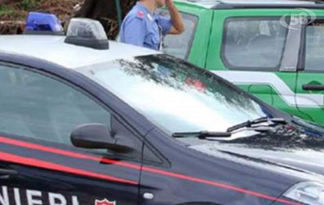 Sirignano, sorpresi a rubare legna: denunciati