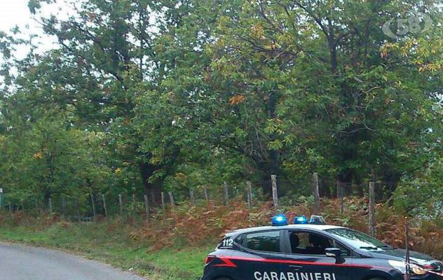 Sorpresi a rubare castagne, denuncia e foglio di via