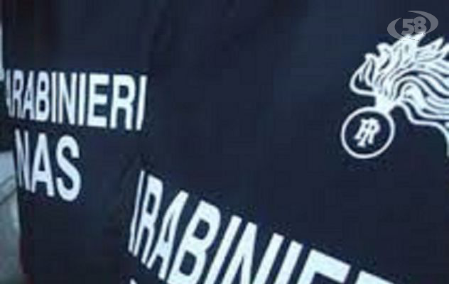 Avellino, esercitano la professione sanitaria abusivamente: denunciati