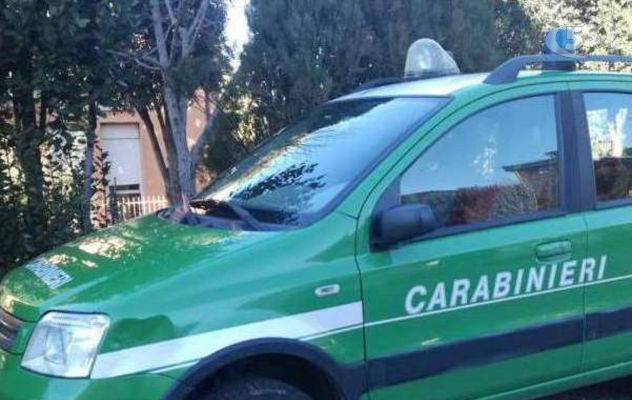 Baiano Irpino, controlli dei Carabinieri alla sagra della castagna e del tartufo