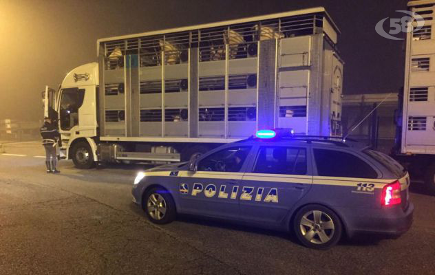  Arrestato pregiudicato rumeno per furto aggravato, resistenza e lesioni in danno degli operatori