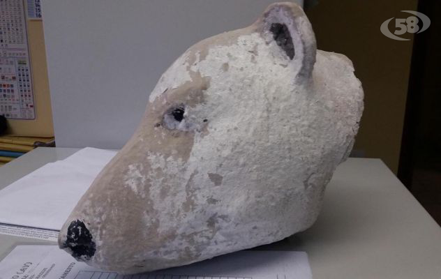 Ariano, il danneggiamento dell'orso è stato un incidente