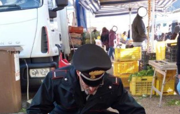 Carne e prodotti ittici irregolari, sanzioni per 9 mila euro e sequestri 