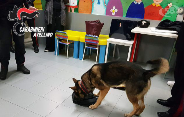 Natale in Pediatria ad Ariano con i Carabinieri e il cane Pirat /VIDEO
