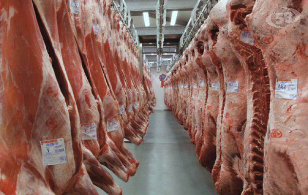 Sequestrati oltre 100kg di carne clandestina: blitz in supermercati e macellerie di Solofra