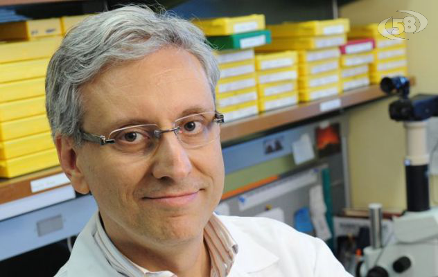 La scoperta del "motore molecolare" dei tumori: nel team Iaverone e la sua equipe