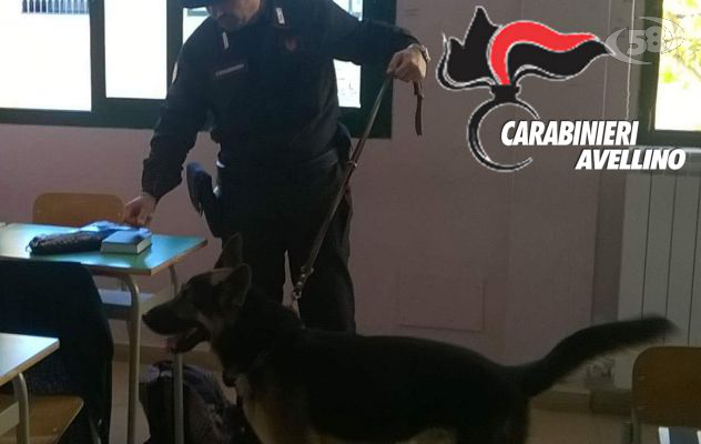 Droga, blitz nelle scuole: unità cinofile in azione