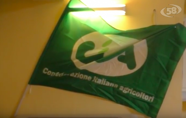 Rilancio settore agricolo, assemblea Cia a Grottaminarda /VIDEO