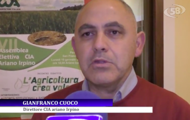 Colture tradizionali e canapa, confronto Cia ad Ariano /VIDEO