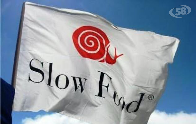 Slow Food presenta una guida sull'Irpinia/INTERVISTA Napodano