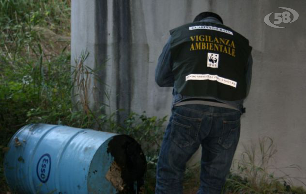 Orrore nel centro per animali di Nusco e Montella: cani e gatti nei congelatori