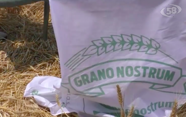 Il Mulino Caputo e l’irpina Green Farm insieme per ''Grano Nostrum''
