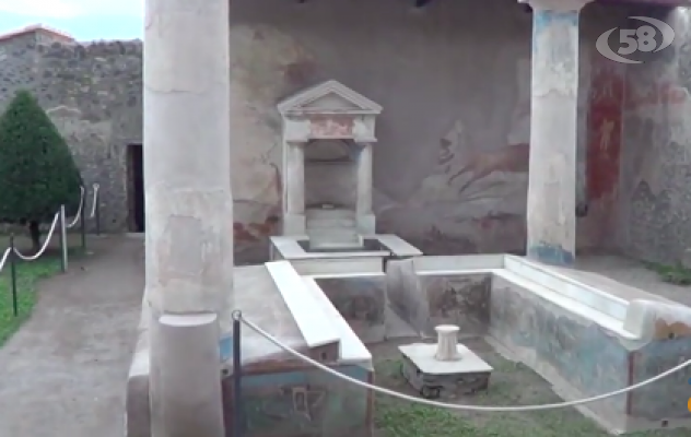 ''I muri raccontano'', vita pubblica e privata in Ercolano e Pompei
