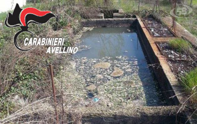 Mirabella Eclano, depuratori al collasso: scatta la denuncia