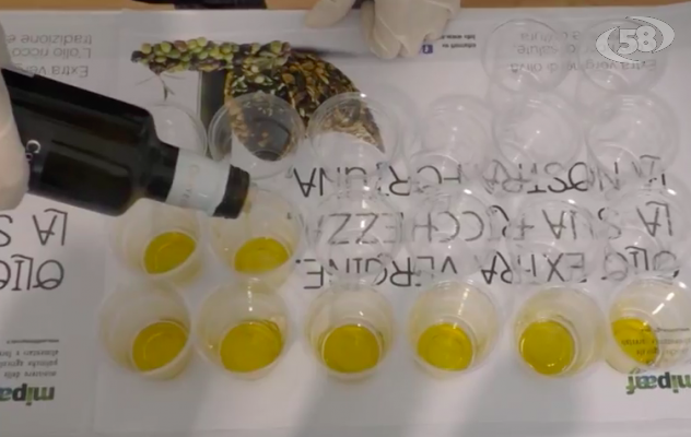 Il Ministero ''benedice'' l'olio di Venticano: ricchezza e fortuna /VIDEO