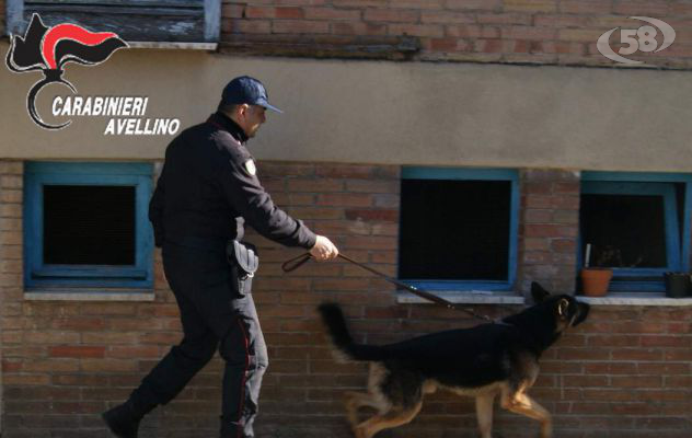 Getta hashish dalla finestra, ma il cane lo scopre