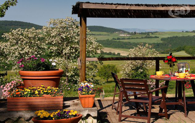 Buon cibo e tradizioni contadine, a ferragosto boom negli agriturismi 