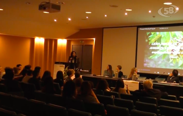 Devianza adolescenziale e abbandono scolastico: l'allarme degli psicologi /VIDEO