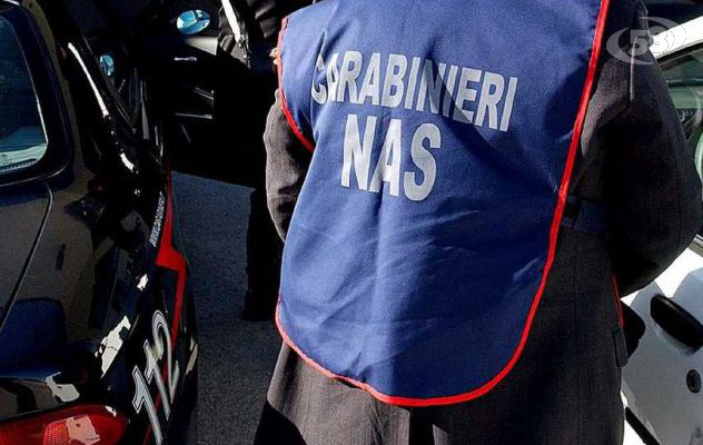 Ariano, lavoro nero: carabinieri in azione