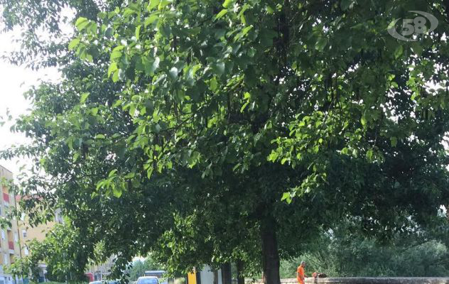 Manutenzione ordinaria, Feleppa: "Tutto secondo il cronoprogramma"