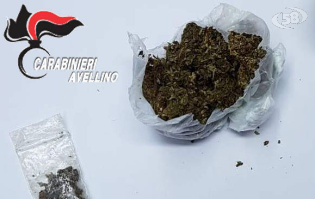 Cane scova marijuana nascosta nella foriera