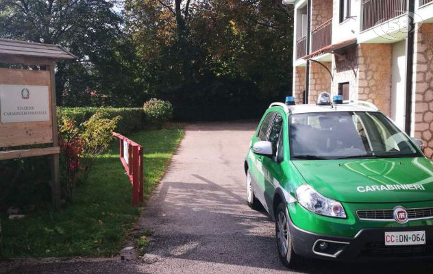 Mercogliano, area boschiva trasformata in castagneto: denunciato un 55enne
