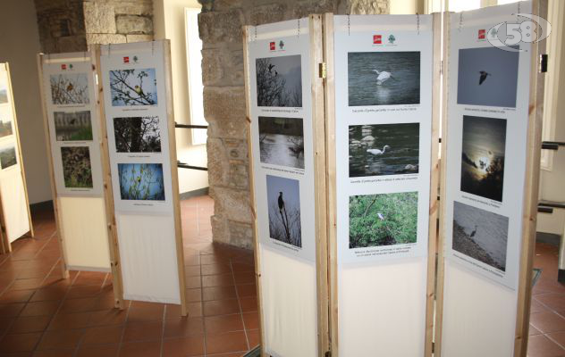 “Fauna, flora e paesaggi dell'Oasi", mostra con ingresso gratuito