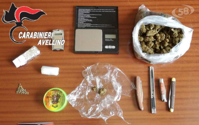 Controlli antidroga con unità cinofile: arrestato un minorenne a Lioni