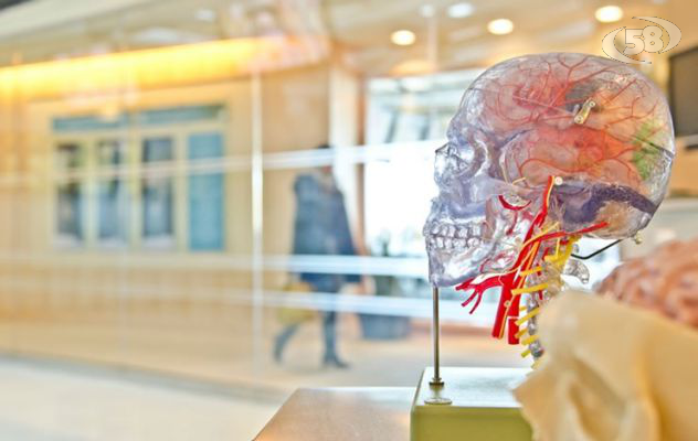 Villa Mafalda Roma, la SMA e i progressi nella neurologia