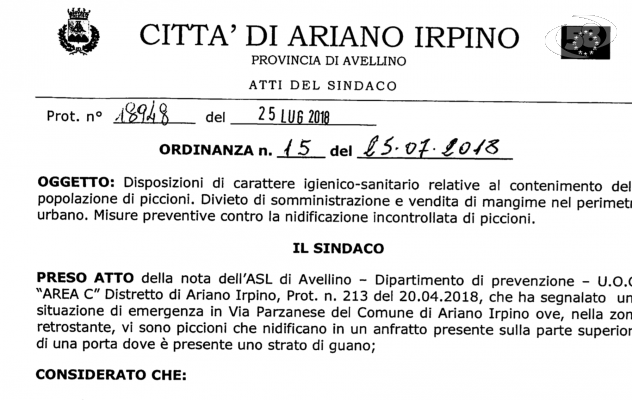 Ariano, ordinanza anti-piccioni. E la rete si scatena