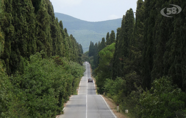 Quei cipressi tanto cari a Carducci