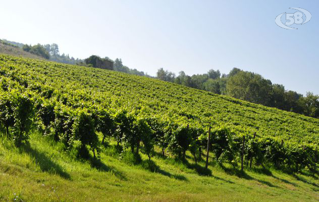 Biodigestore, Bruno: Chianche non va bene, meglio Difesa Grande