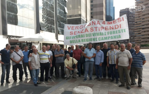 Forestali senza stipendio, la Cgil: in Regione non sanno usare il software di pagamento
