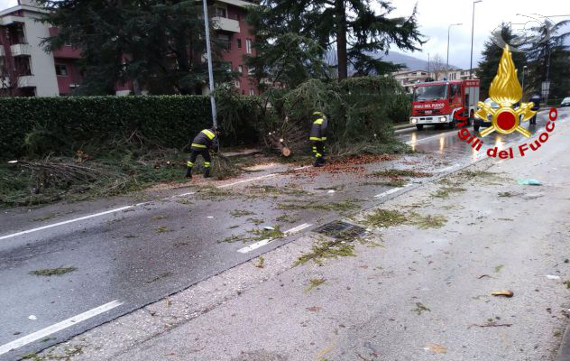 Maltempo, cade un albero: evacuata una casa