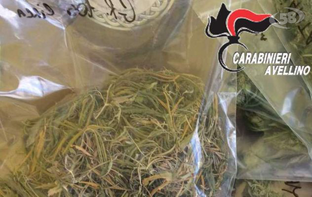 Mirabella, coltiva marijuana in casa: 45enne in manette