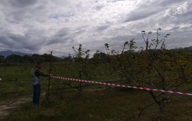 Occupazione abusiva di area demaniale fluviale, blitz della Finanza