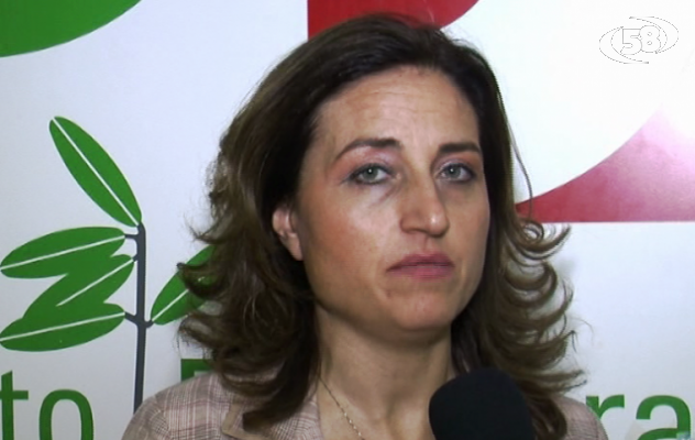 Tesseramento Pd, Lengua risponde alle polemiche