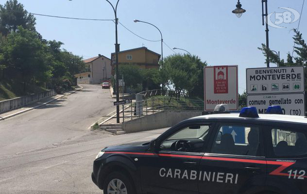 Importuna barista e si scaglia contro i carabinieri, donna nei guai