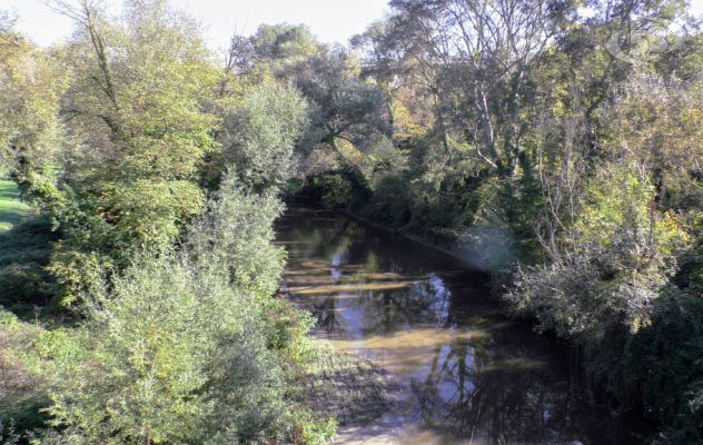 Fiumi a rischio esondazione, ok alle manovre di contenimento