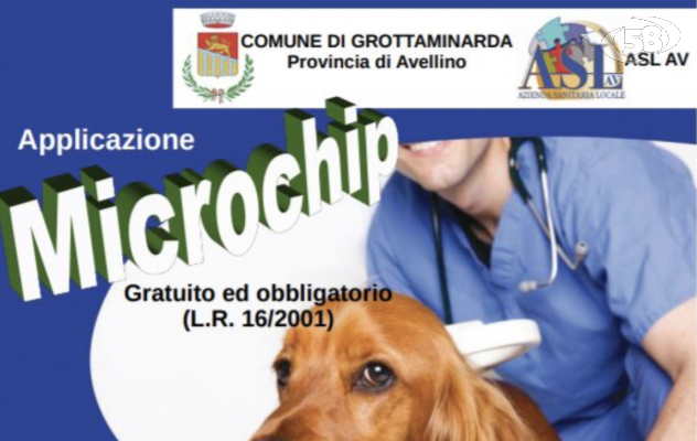 Contro l'abbandono e il randagismo, microchip gratuiti per i cani a Grottaminarda