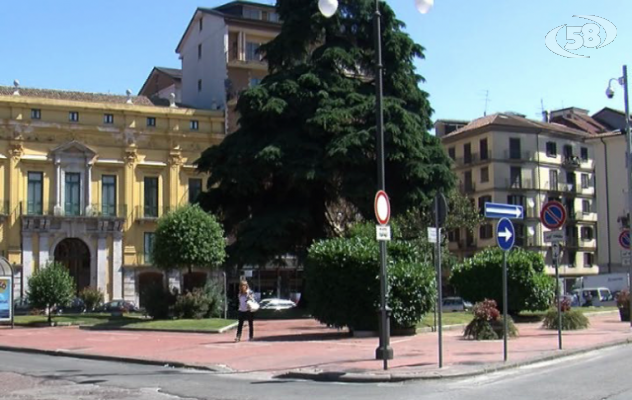 Cedro di Piazza Libertà, l'agronomo Mazzullo: "L'albero era malato"