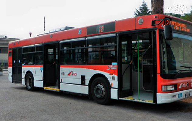 Aggressioni su autobus, Trotta Bus: aperta un'inchiesta