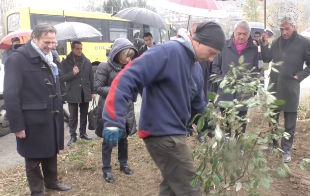 Stir, ambientalisti preoccupati. Boccalone: ''Certa gente nasce per essere solo preoccupata''