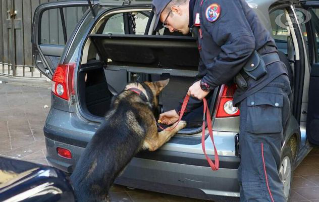 Nascondeva bombe e armi, scovato e arrestato