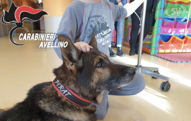 Il cane dei Carabinieri porta gioia nel reparto di pediatria del Moscati