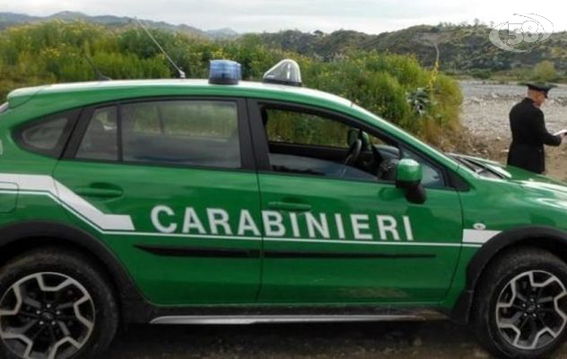 Sequestrati due quintali di alimenti scaduti